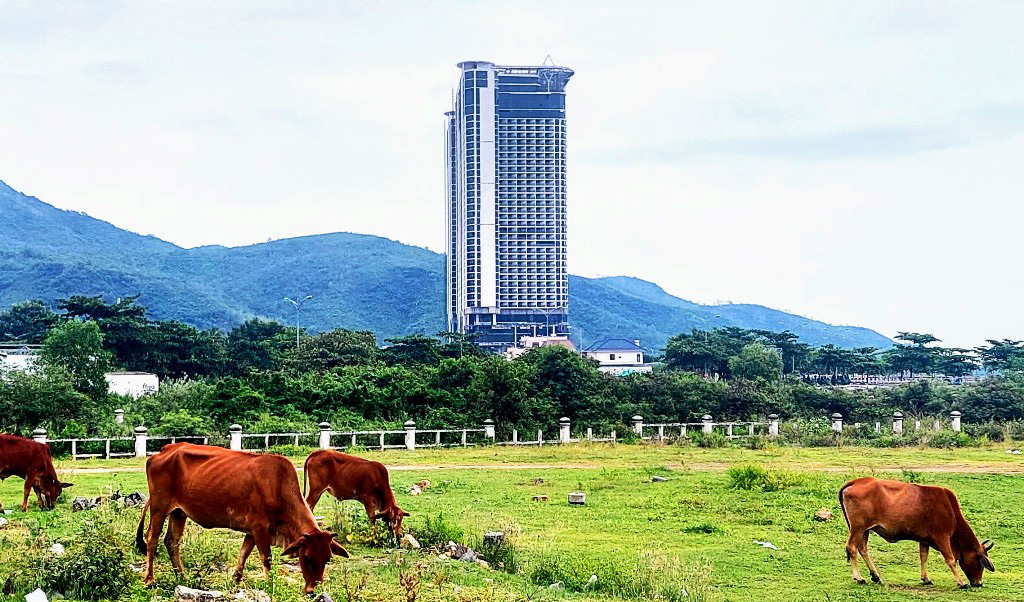 Kiểm tra, xử lý vụ ‘quên’ thu hồi đất tại Nha Trang với công ty liên quan Lã Quang Bình - Ảnh 1.